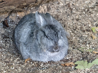 Similar image 21771012