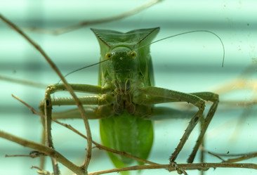 Similar image 21769930