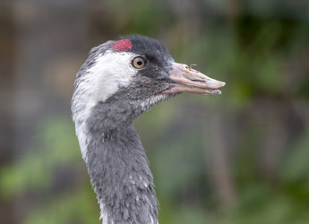 Similar image 21770124