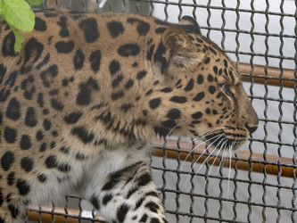 Similar image 21770182