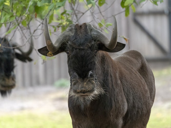 Similar image 21770185