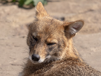 Similar image 21770186