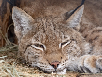 Similar image 21770188