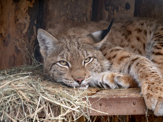 Similar image 21770191