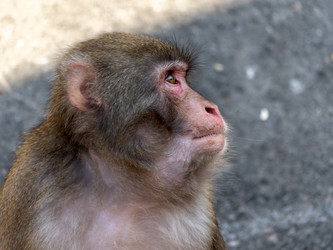 Similar image 21770193