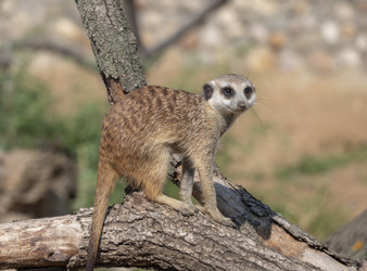 Similar image 21770194