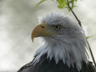 Similar image 21770196