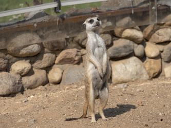 Similar image 21770197