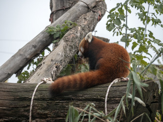 Similar image 21770198