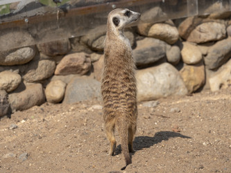 Similar image 21770203