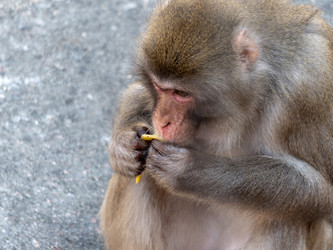 Similar image 21770206