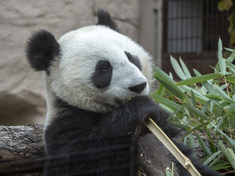 Similar image 21770208