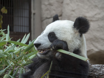 Similar image 21770209