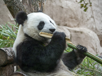 Similar image 21770211