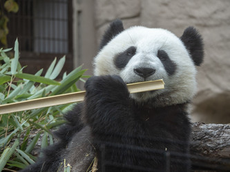 Similar image 21770213