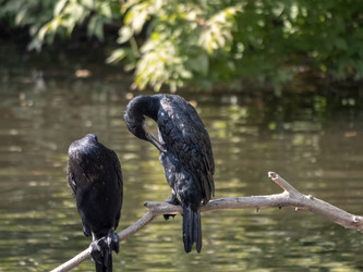 Similar image 21770214