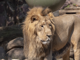 Similar image 21770215