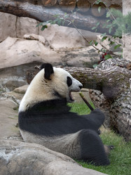 Similar image 21770216