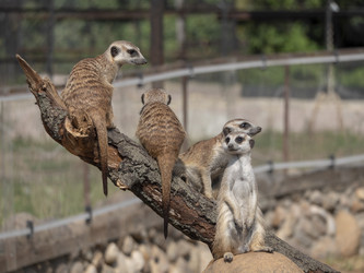 Similar image 21770367