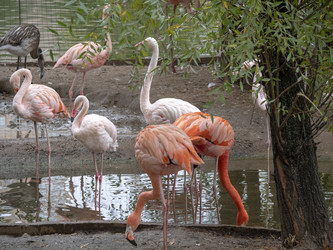 Similar image 21770370