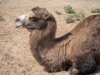 Similar image 21770371