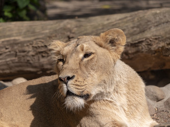 Similar image 21770373