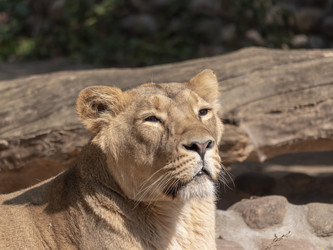 Similar image 21770374