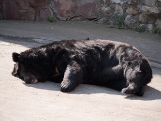 Similar image 21770378