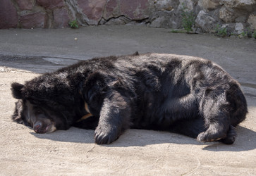 Similar image 21770380