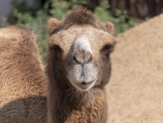 Similar image 21770386