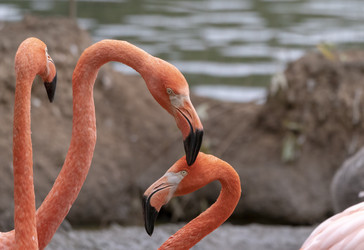 Similar image 21770387