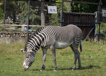 Similar image 21770390