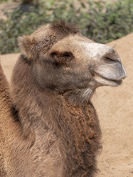 Similar image 21770393