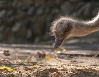 Similar image 21770577