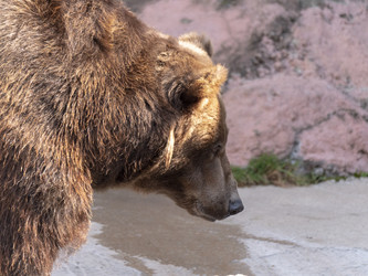 Similar image 21770580