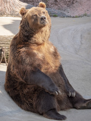 Similar image 21770581