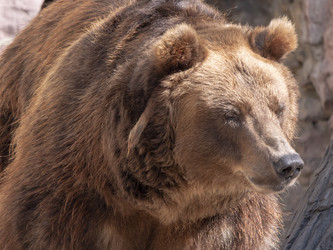 Similar image 21770585