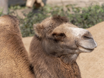 Similar image 21770586