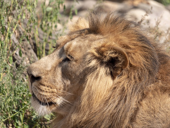 Similar image 21770590