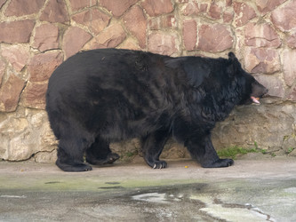 Similar image 21770794