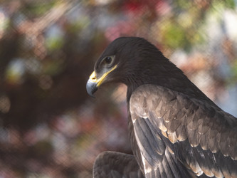 Similar image 21770797