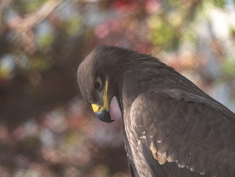 Similar image 21770798