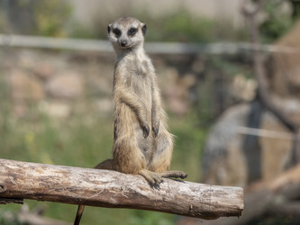 Similar image 21770806