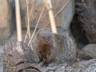 Similar image 21770808