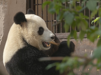 Similar image 21771017