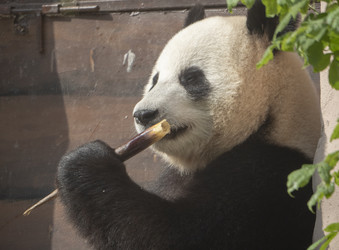 Similar image 21771020