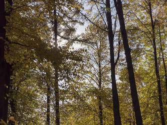 Similar image 21771029