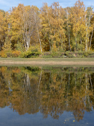 Similar image 21771031