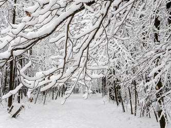 Similar image 21771037