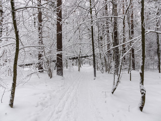 Similar image 21771044